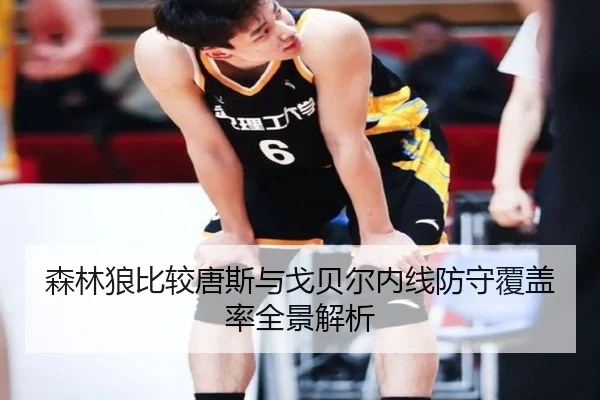 森林狼比较唐斯与戈贝尔内线防守覆盖率全景解析