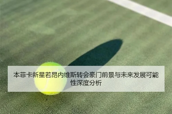 本菲卡新星若昂内维斯转会豪门前景与未来发展可能性深度分析