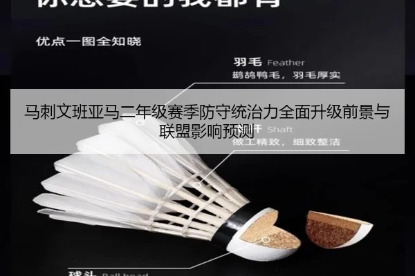 马刺文班亚马二年级赛季防守统治力全面升级前景与联盟影响预测